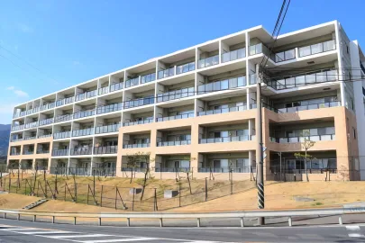 アデニウム真鶴