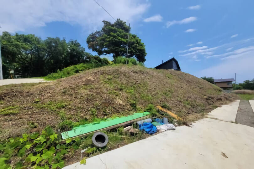 土地の様子