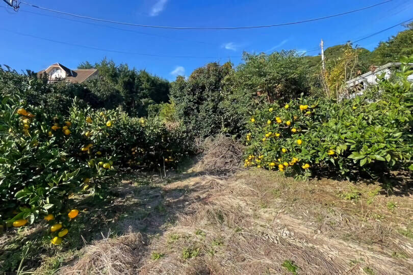 湯河原町鍛冶屋　陽当たり良好　高台　南ひな壇　約11...