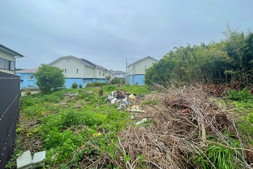 土地の様子