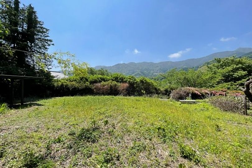 土地の様子