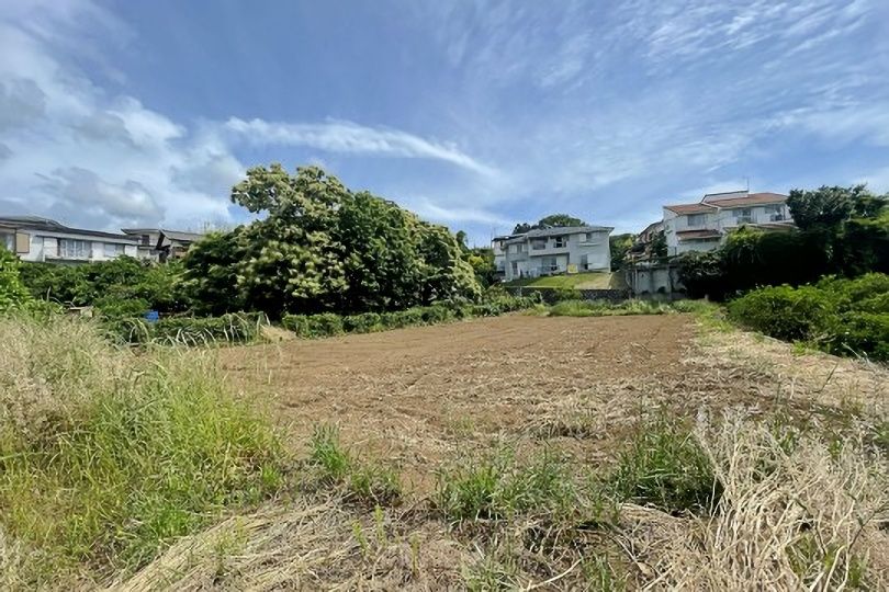 土地の様子