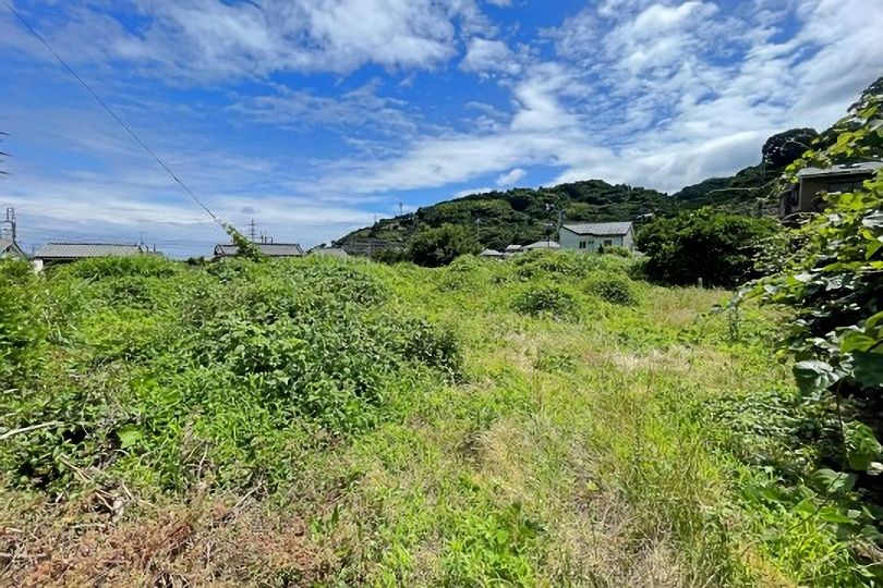 土地の様子