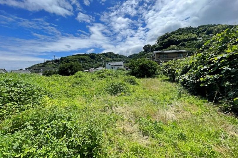 土地の様子