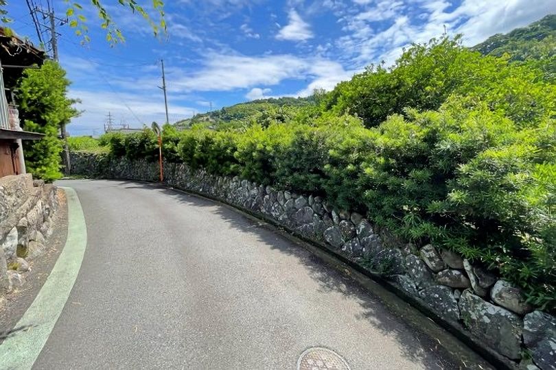 前面道路