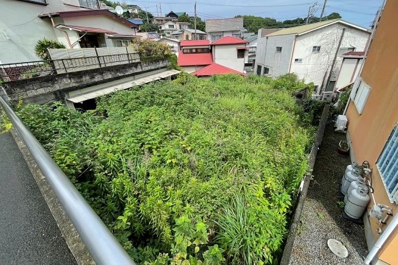 土地の様子