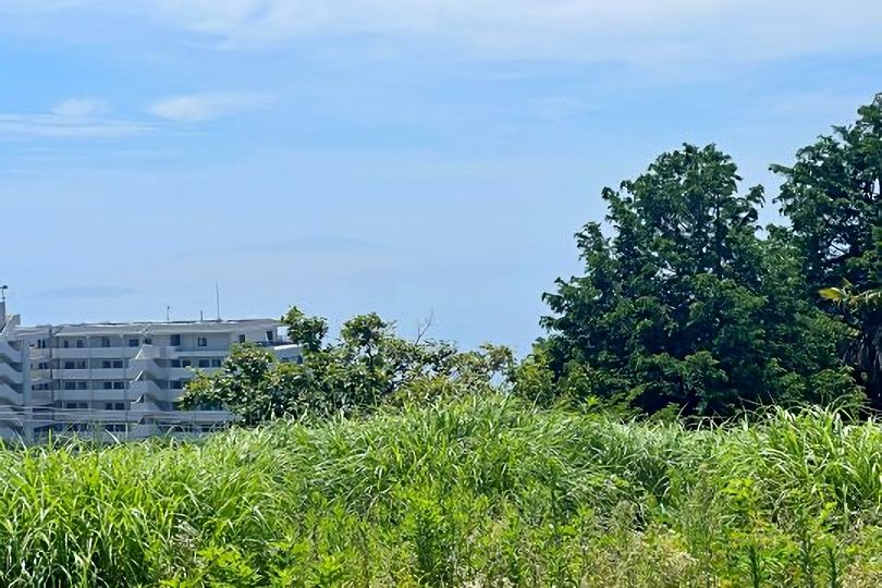 土地の様子