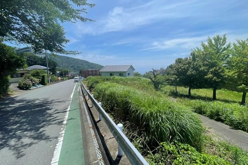 土地の様子