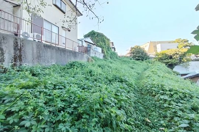 土地の様子