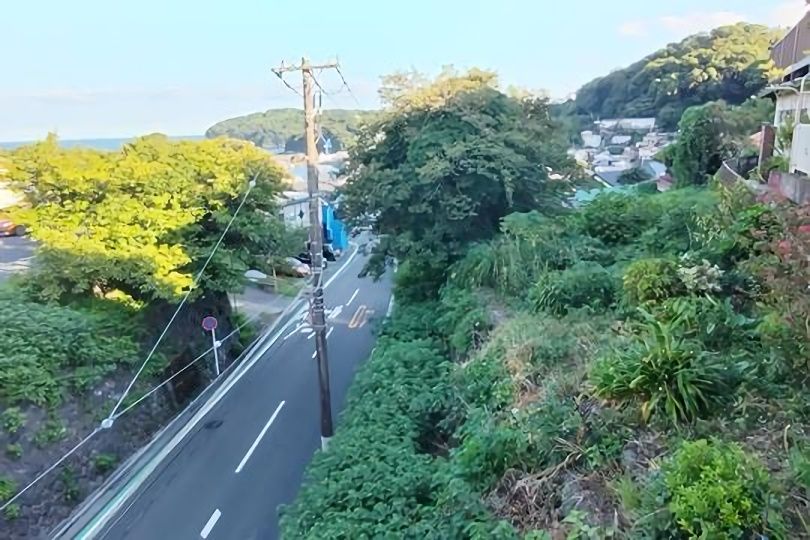 土地の様子