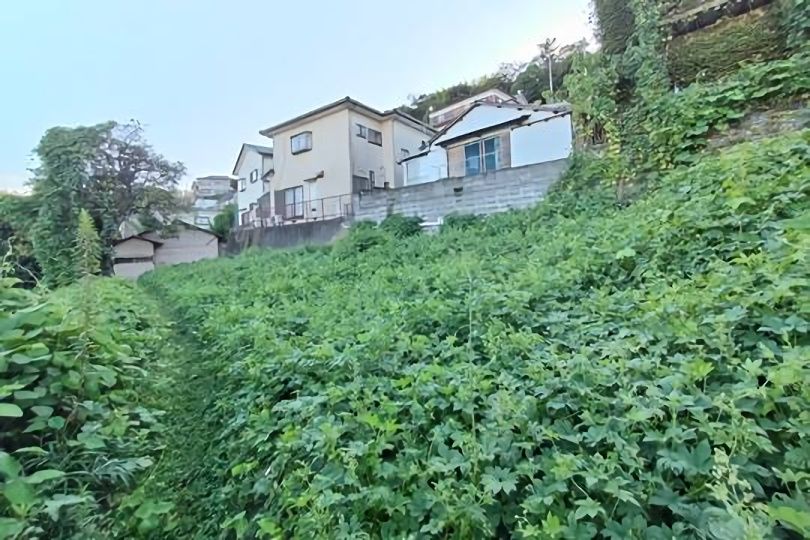 土地の様子