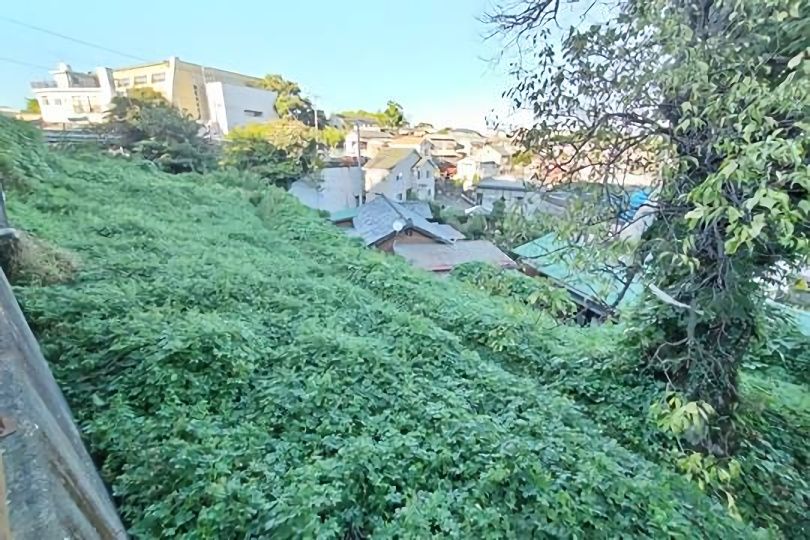 真鶴町真鶴 駅徒歩11分・生活便利エリアの真鶴港を眺望する221坪売地 画像7