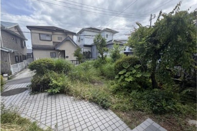 庭