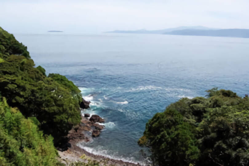 パークセレノ真鶴アスール　最上階　海岸線に建つリゾートマンション　12月リフォーム完工予定 画像7